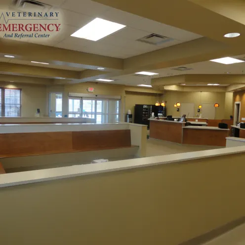 Lobby and Waiting area for Valley Veterinary Referral Center, Virginia.